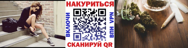 Конопля сатива Дубна